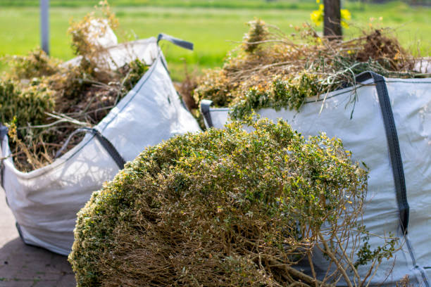 Best Construction Debris Removal  in Coldstream, OH